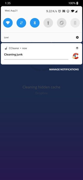 CCleaner - Preview 8