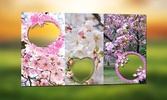 Sakura Photo Frames screenshot 1