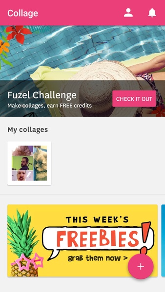 Fuzel Collage - Preview 9