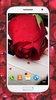 लाल गुलाबों लाइव वॉलपेपर है HD screenshot 7