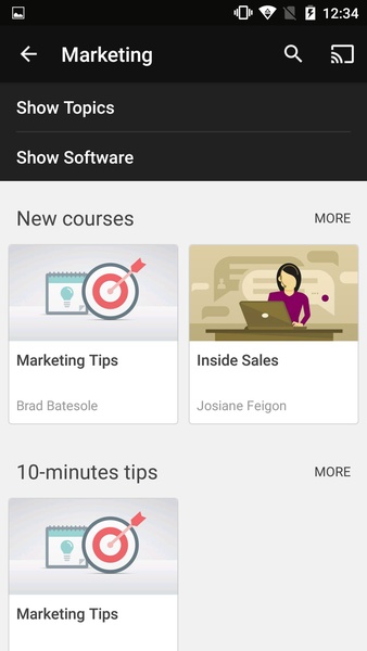 Lynda.com - Preview 6