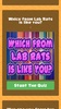 Lab Rats Quizz screenshot 4