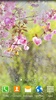 Sakura Garden Live Wallpaper screenshot 8