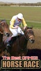 Horse Race Games screenshot 2