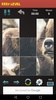 Animals Sliding Puzzle screenshot 4