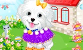 Fluffy Puppy Pet Spa And Care screenshot 2