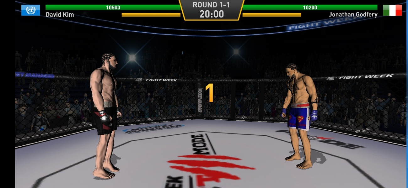 Fight Mania 3D - Preview 17