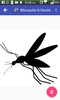 Mosquito Irritante screenshot 1