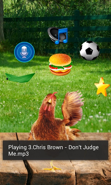 Real Talking Chicken - Preview 1