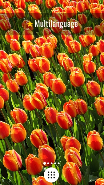 Flowers HD Wallpapers - Preview 1