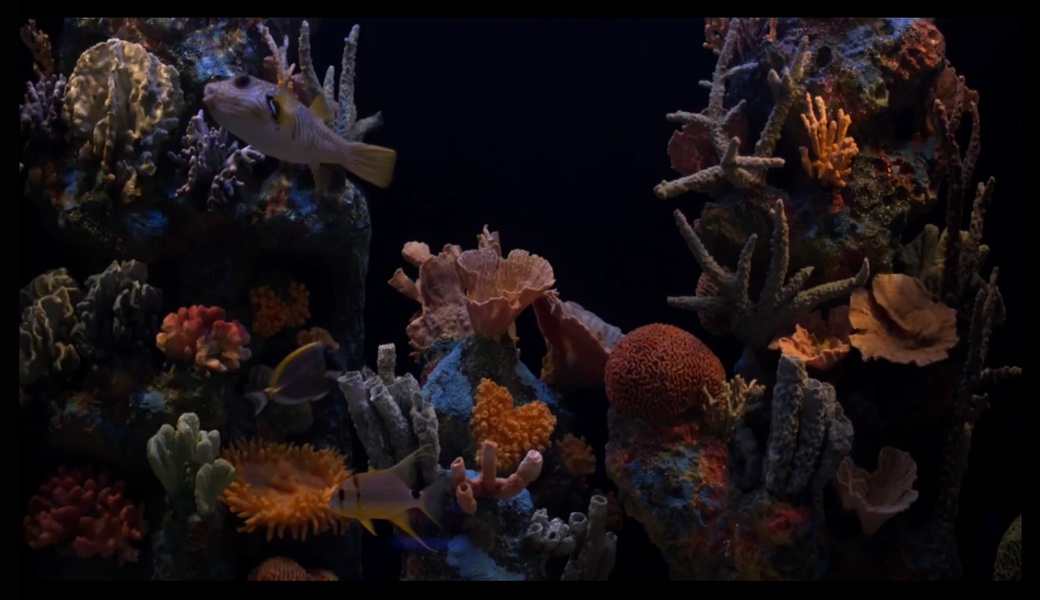 Aquarium HD - Preview 2