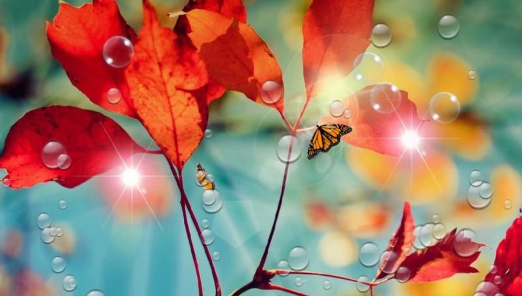 Red Leaf for Galaxy S4 - Preview 2