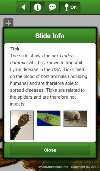 smart Microscope Lite - Preview 9