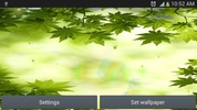 зеленый лист живые обои screenshot 4