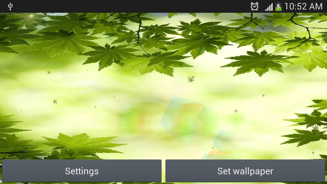 green leaf live wallpaper - Preview 4