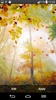 Autumn screenshot 5