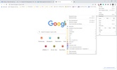 Google Chrome screenshot 10