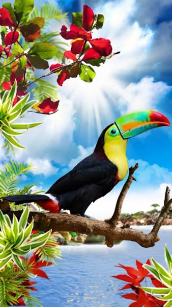 Birds - Preview 3