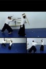 Aikido Weapons- Free screenshot 3