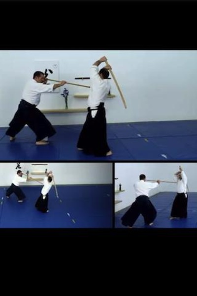 Aikido Weapons- Free - Preview 3