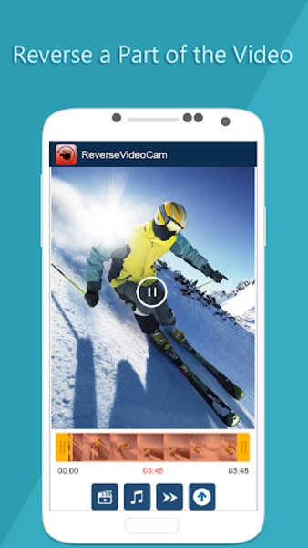ReverseVideoCam - Preview 2