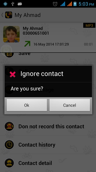 Call Recorder Ultimate - Preview 5