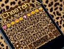 Cheetah screenshot 1