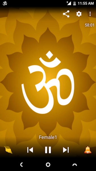 Om Chants HD - Preview 5