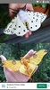 imagenes de mariposas screenshot 4