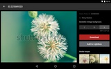 Shutterstock screenshot 7