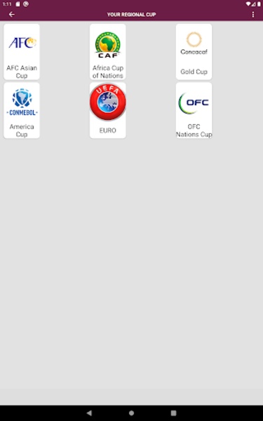 Qatar 2022 World Cup simulator - Preview 1