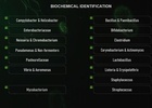 ABIS bacteria identification screenshot 7