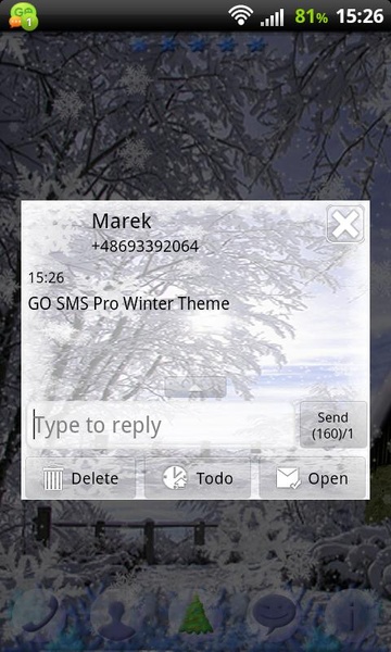 GO SMS Pro Winter Theme - Preview 3