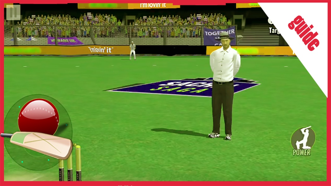 Guide for Saga Cricket Champion - Preview 2