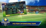 Cricket Champions Cup 2017 screenshot 5