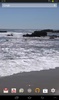 Pantai Nyata Live Wallpaper screenshot 5