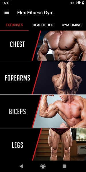 Flex Fitness Gym - Preview 2