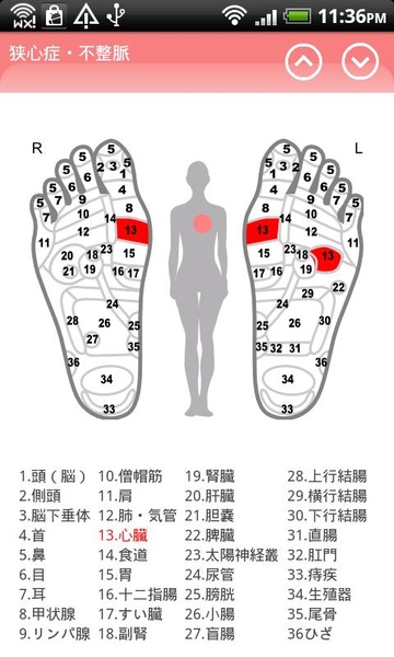 Reflexology chart - Preview 1
