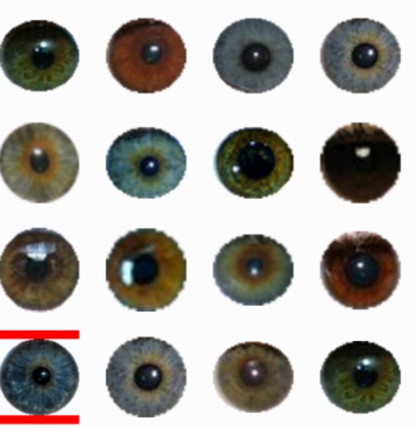 Change Eye Color - Preview 1