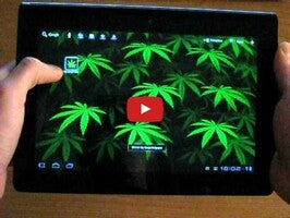 Vidéo au sujet deMy Ganja Live Wallpaper1