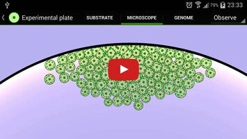 Video gameplay Cell Lab 1
