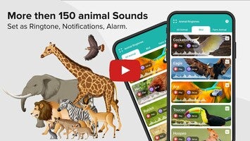 Video about Animal Ringtone 1