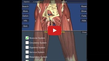 فيديو حول 3D Anatomy Lite1