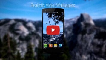 White Shark Video Wallpapers1動画について