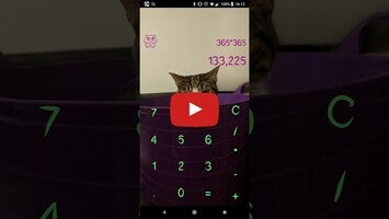 Video about Cat Calculator 1