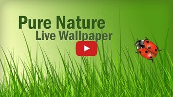 วิดีโอเกี่ยวกับ Pure Nature Free Live Wallpaper 1