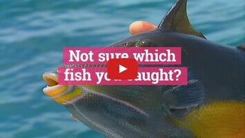 Видео про FishVerify: Species Identification & Regulations 1