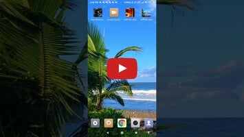 Video su tropical beach live wallpaper 1