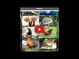 Video about Sound of Animals Children 1