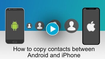 Contact Transfer for Windows - Download it from Uptodown for free